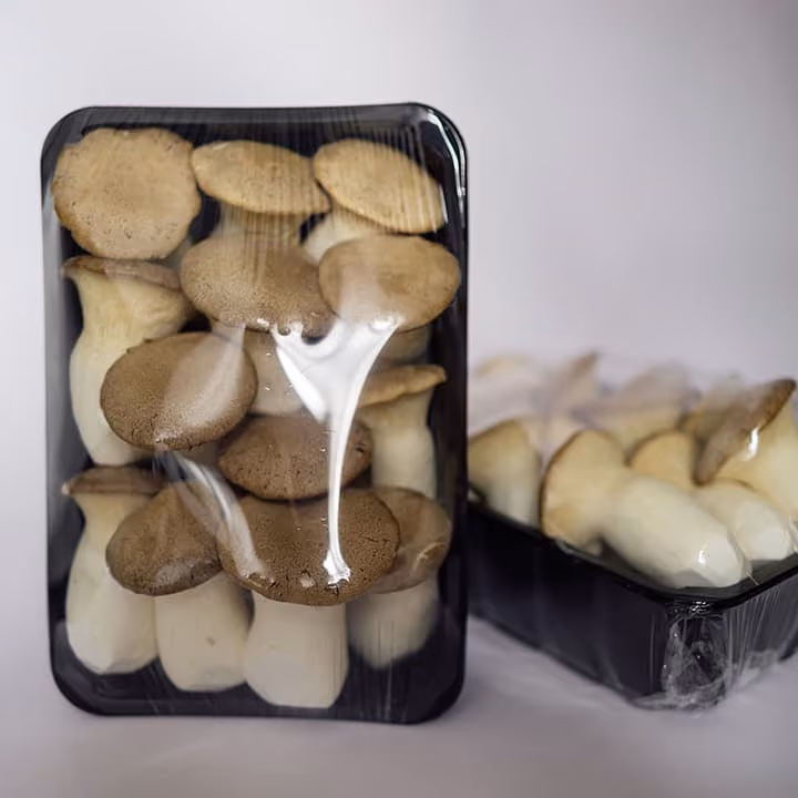 Two black trays of brown-capped king oyster mushrooms wrapped in clear plastic.