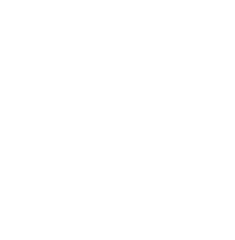 Stylized white bird in flight with angular wings and tail on black background.