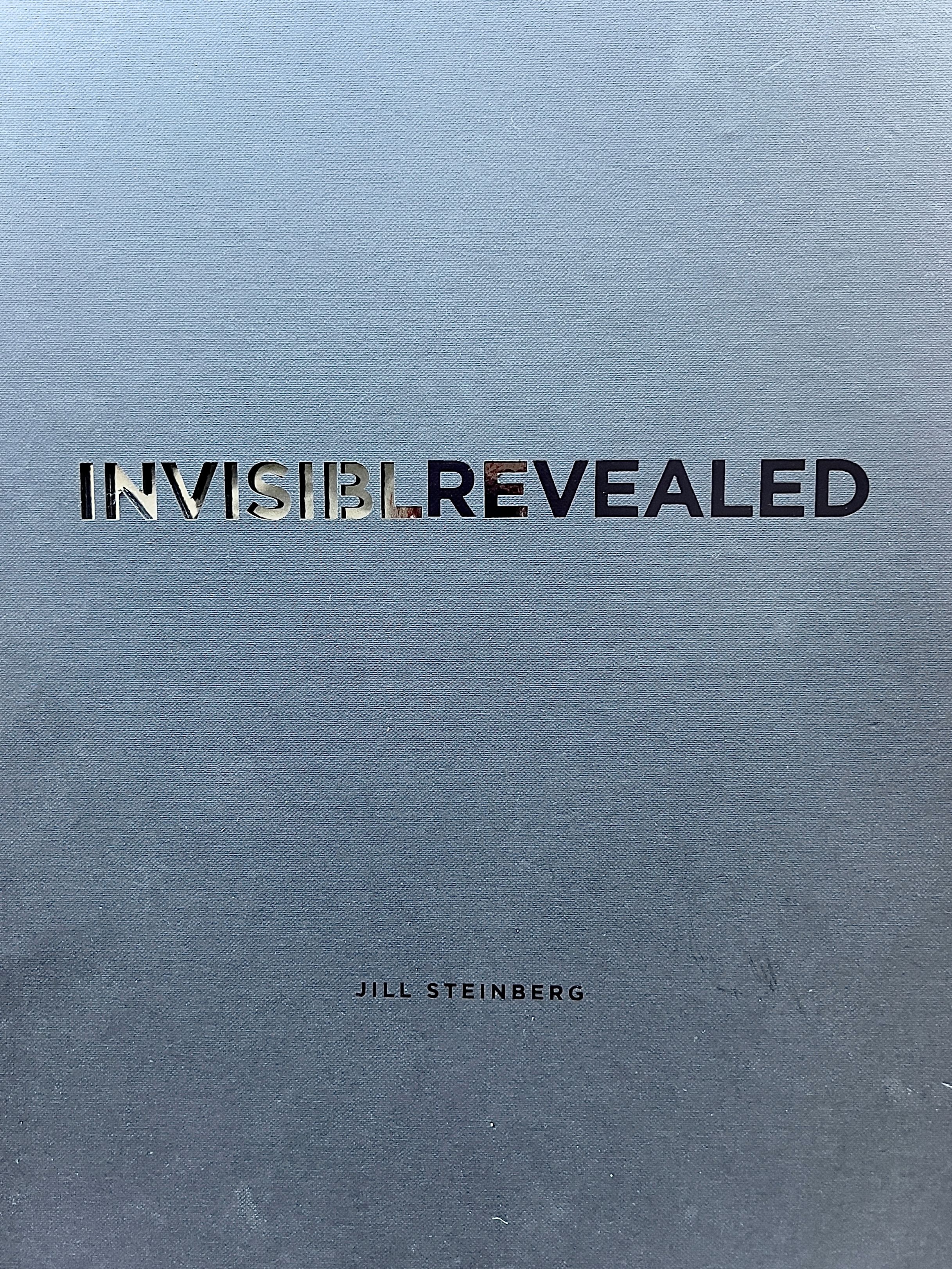 Invisible Revealed