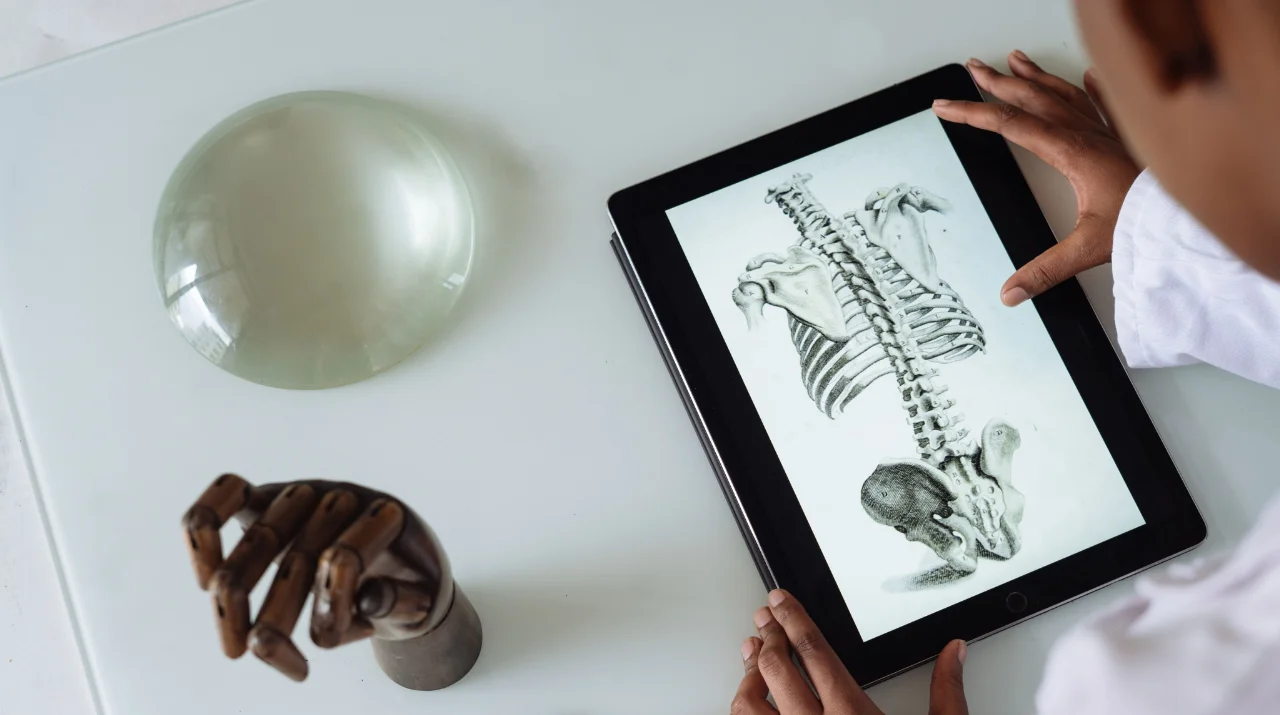 Person holding a tablet displaying a detailed sketch of a human spine and ribcage.