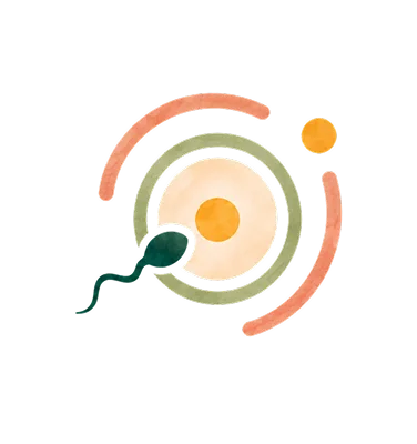 IVF