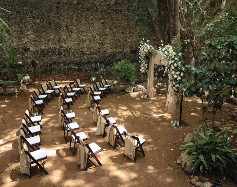 jardin maya
