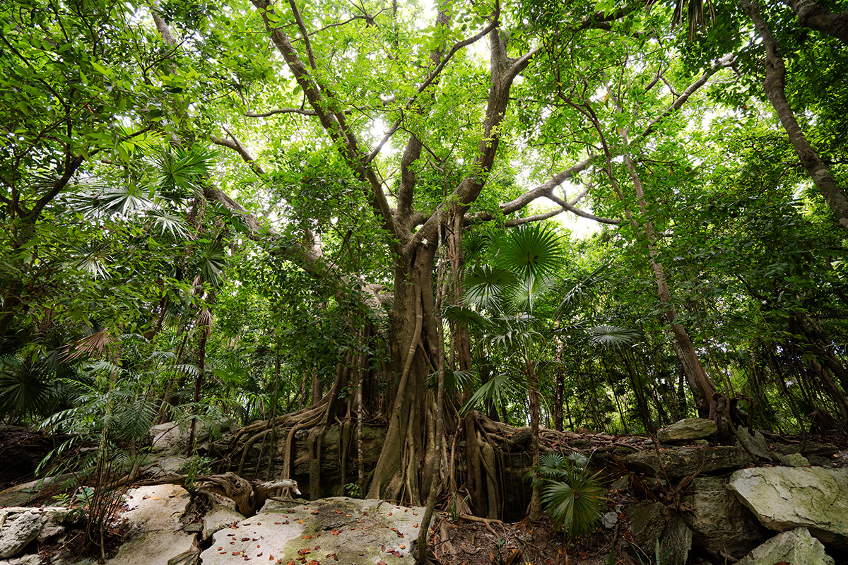 Hidden Beach - 3