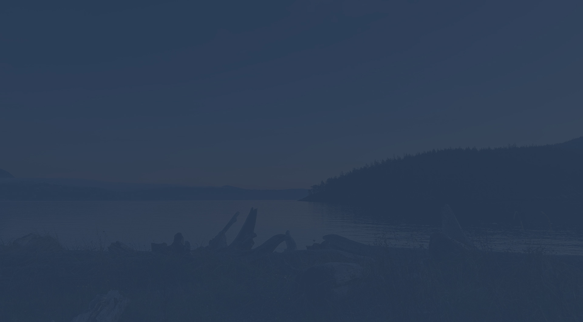 Forested shoreline meeting calm water on Puget Sound near Anacortes, Washington