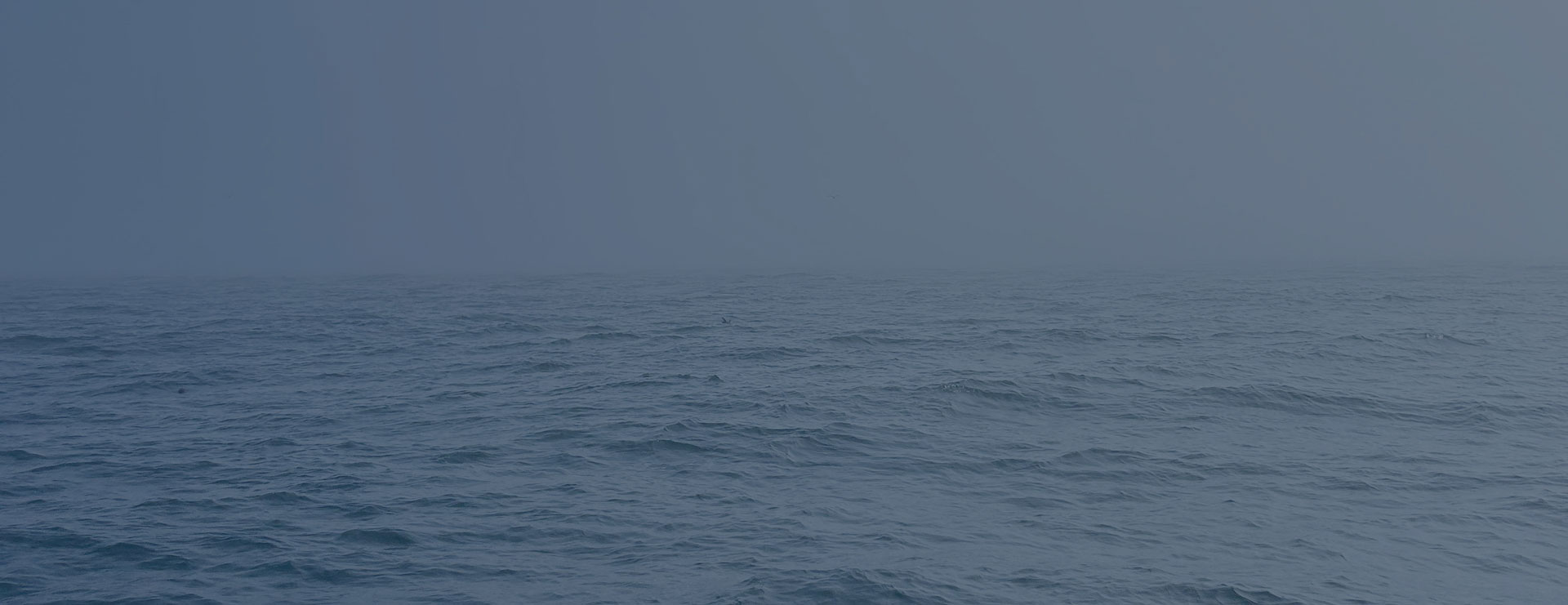 Calm open water of Puget Sound under a soft, overcast sky