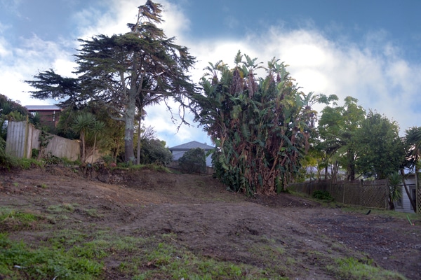 What Makes A1 Sure Services Skilled At Tree Trimming and Tree Pruning?
