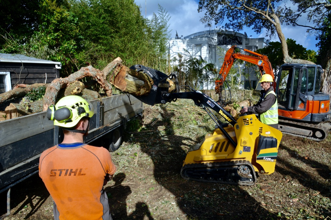 Why Might Land Clearing Be Necessary?