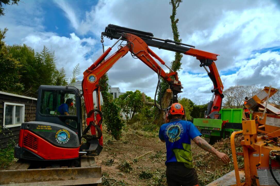 An Introduction to Land Clearing