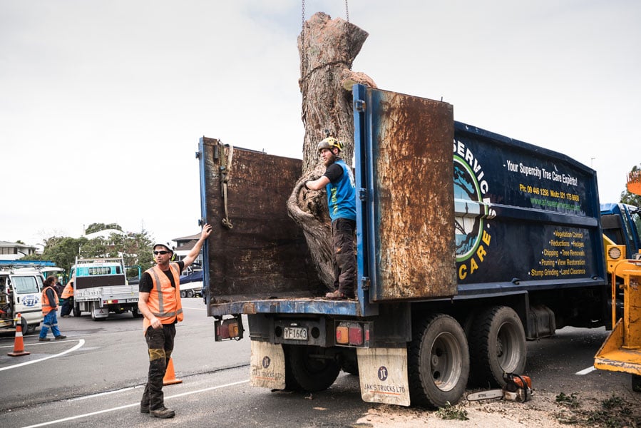 After Tree Arboring: How To Dispose of Branches & Trunks