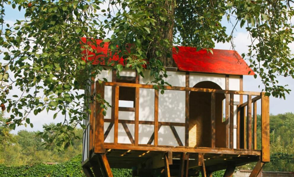 Creative Ideas for Using Your Tree