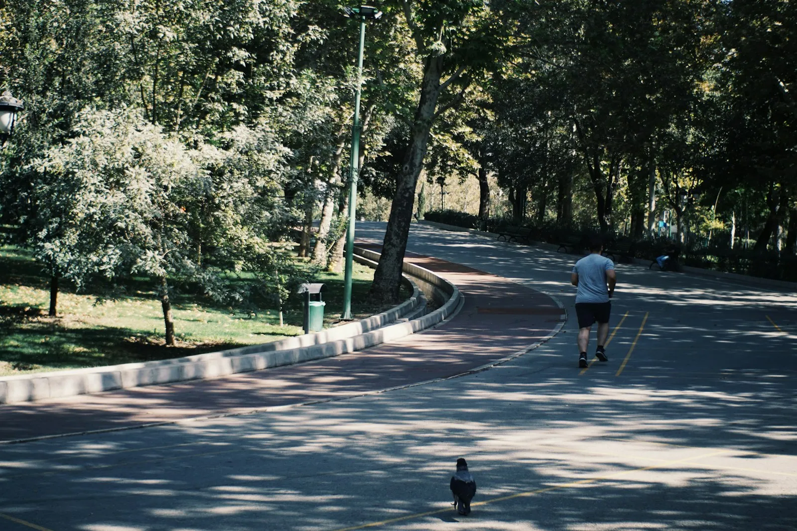 Runner jogging on a tree-lined park path near West Hartford, CT