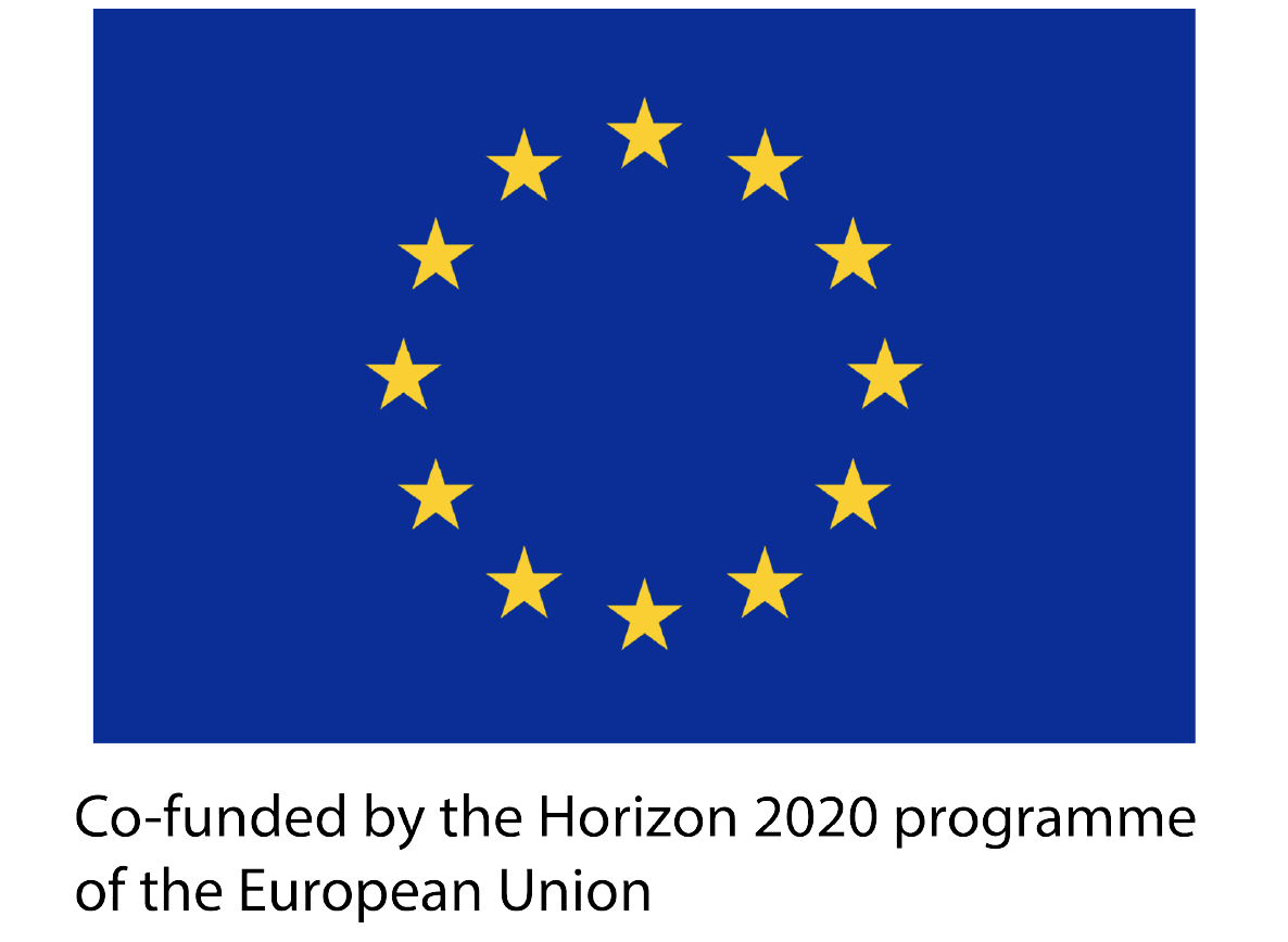 Flag of the European Union with text about co-funding from the Horizon 2020 programme.