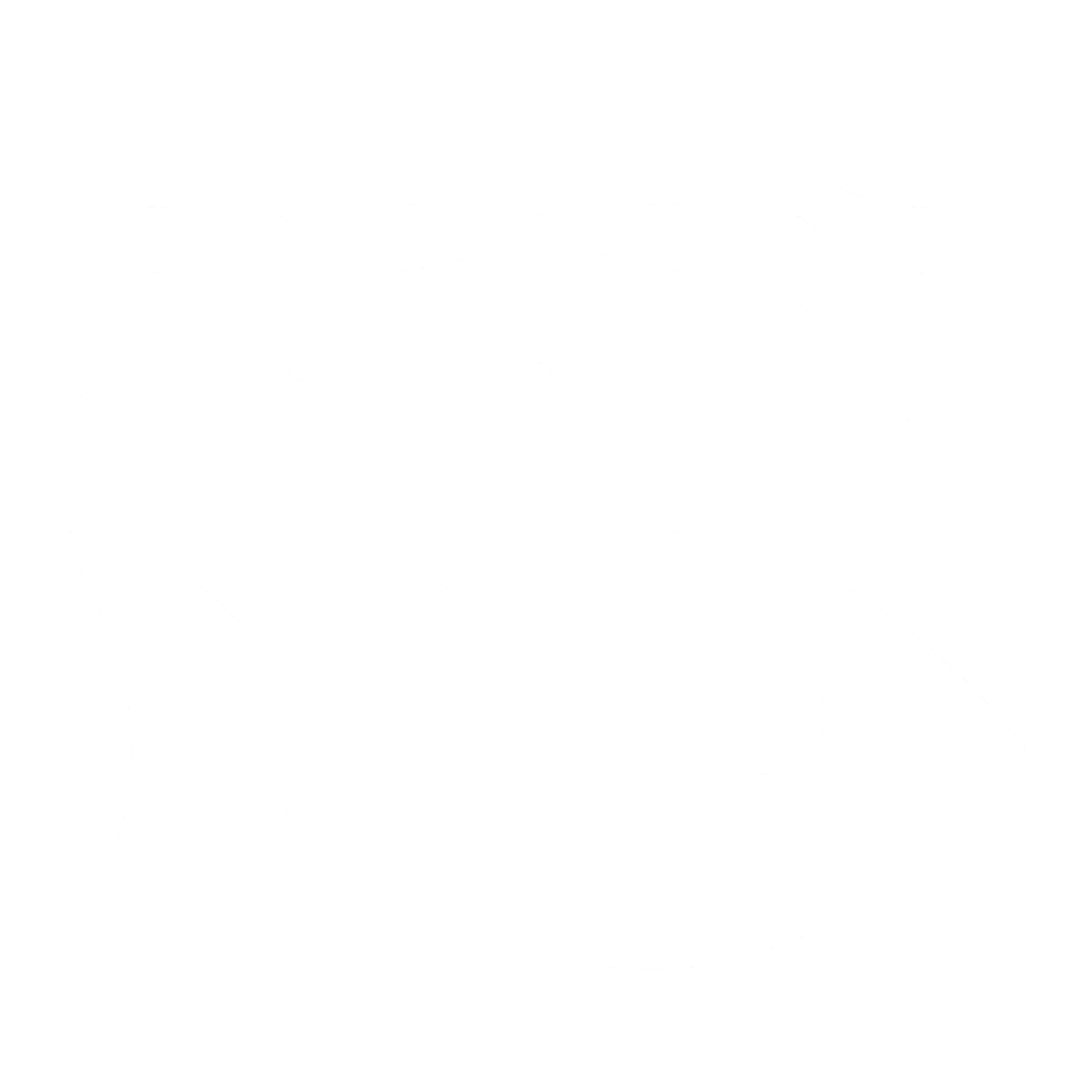White fish icon swimming beneath two stylized waves on a black background.