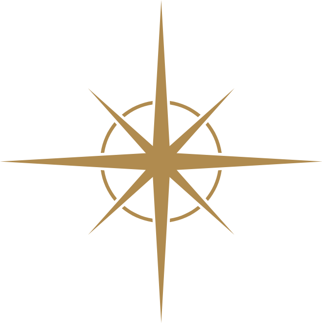 Stylized gold compass rose with four long points and four shorter diagonal points, enclosed by a segmented circular ring, on a transparent background.