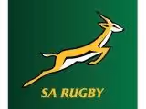 Physical and mental boost as Blitzboks prepare to return to training