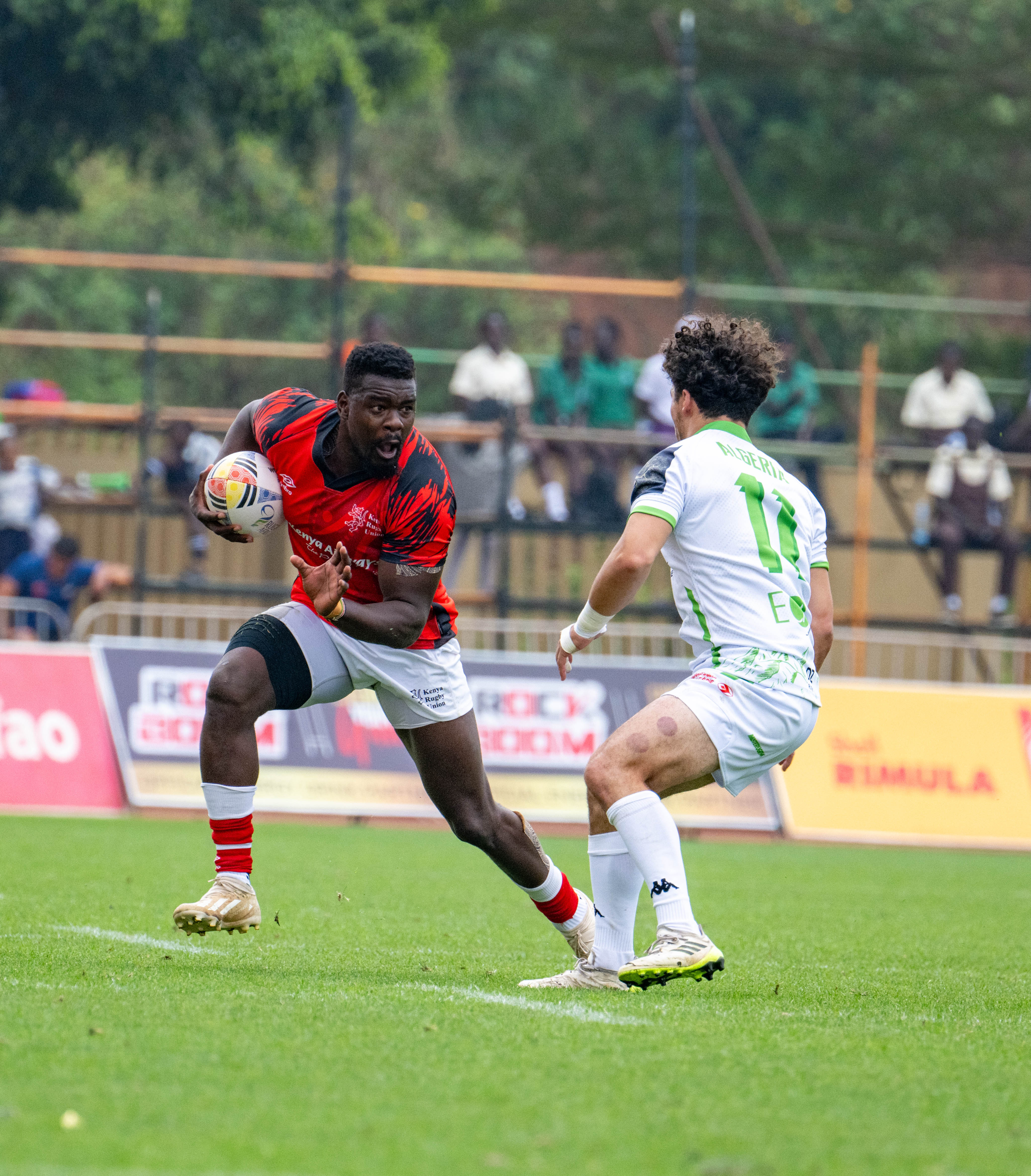 Senegal and Algeria Triumph as Rugby Africa Cup Final Sets Stage for Rugby World Cup Qualification Showdown