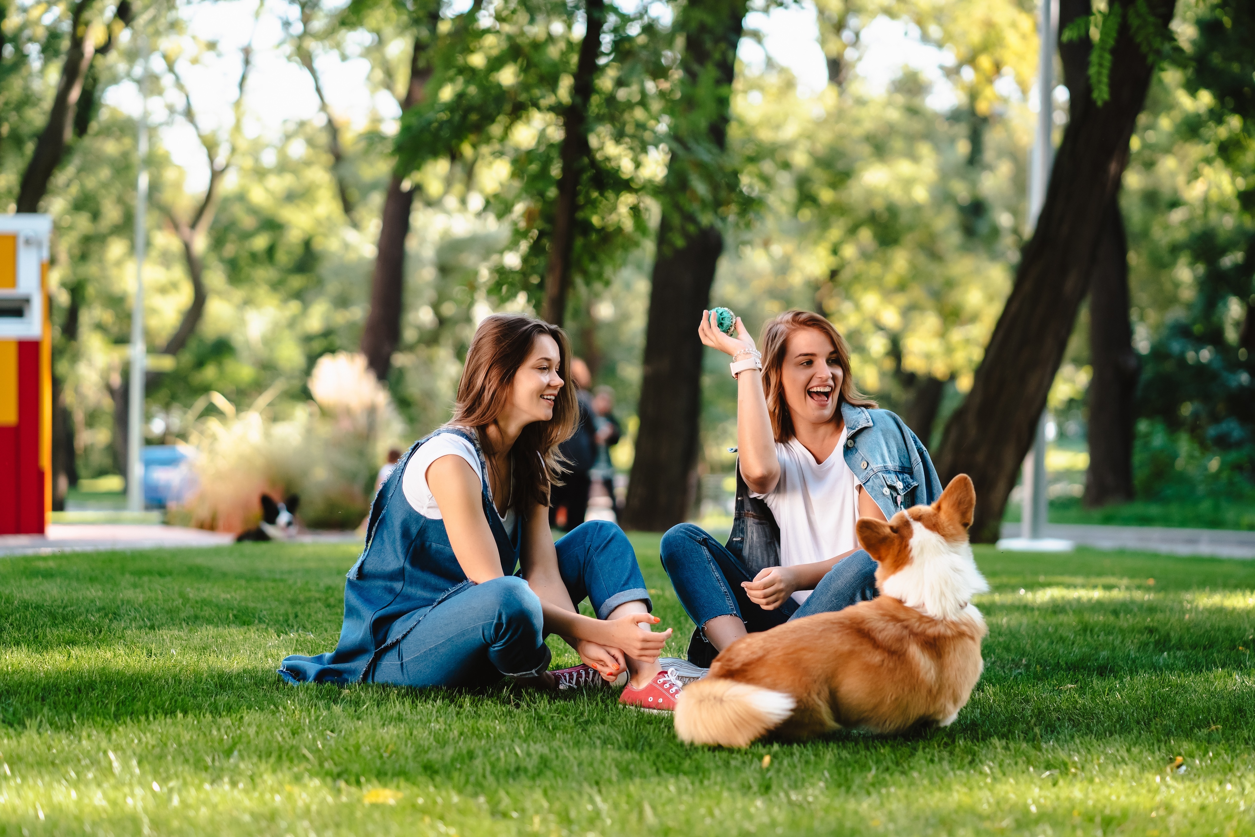 People playing fetch stock image