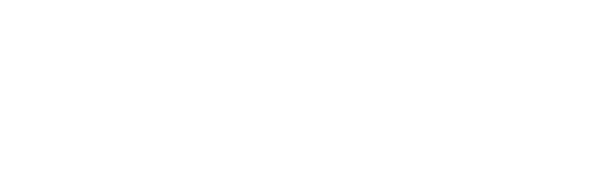 Vantis logo with text reading 'Vantis | Beyond Assurance'.