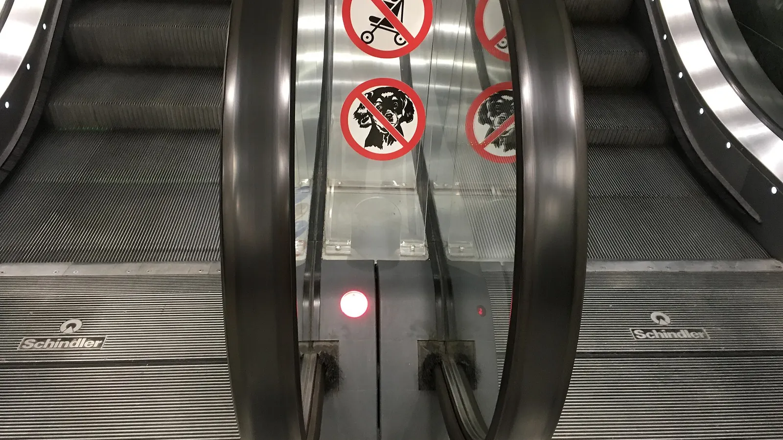Dog prohibition decals and a pram decal on the glass balustrades between two escalators, steps running behind them