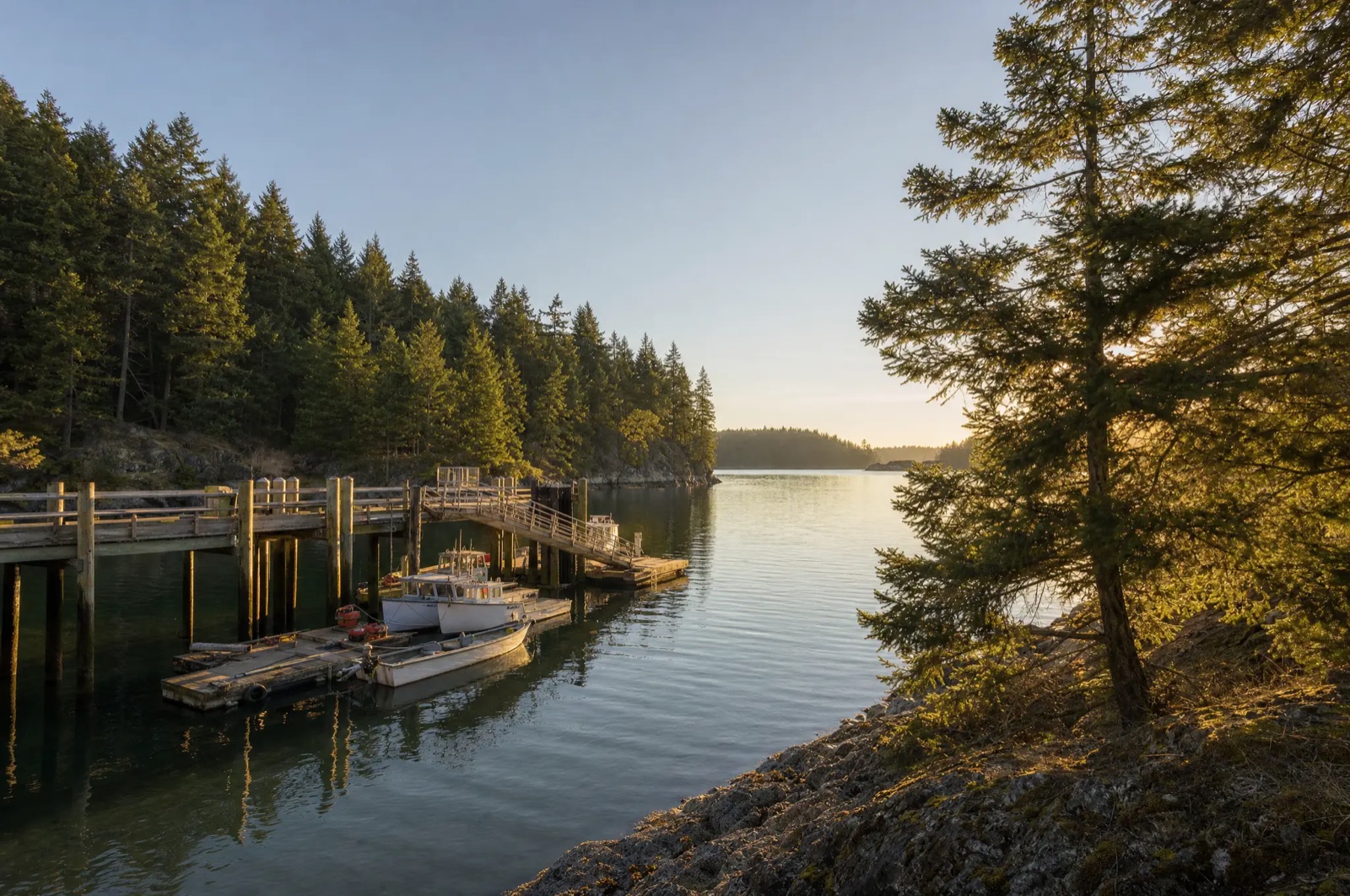 Kingston ferry dock at Appletree Cove in golden morning light