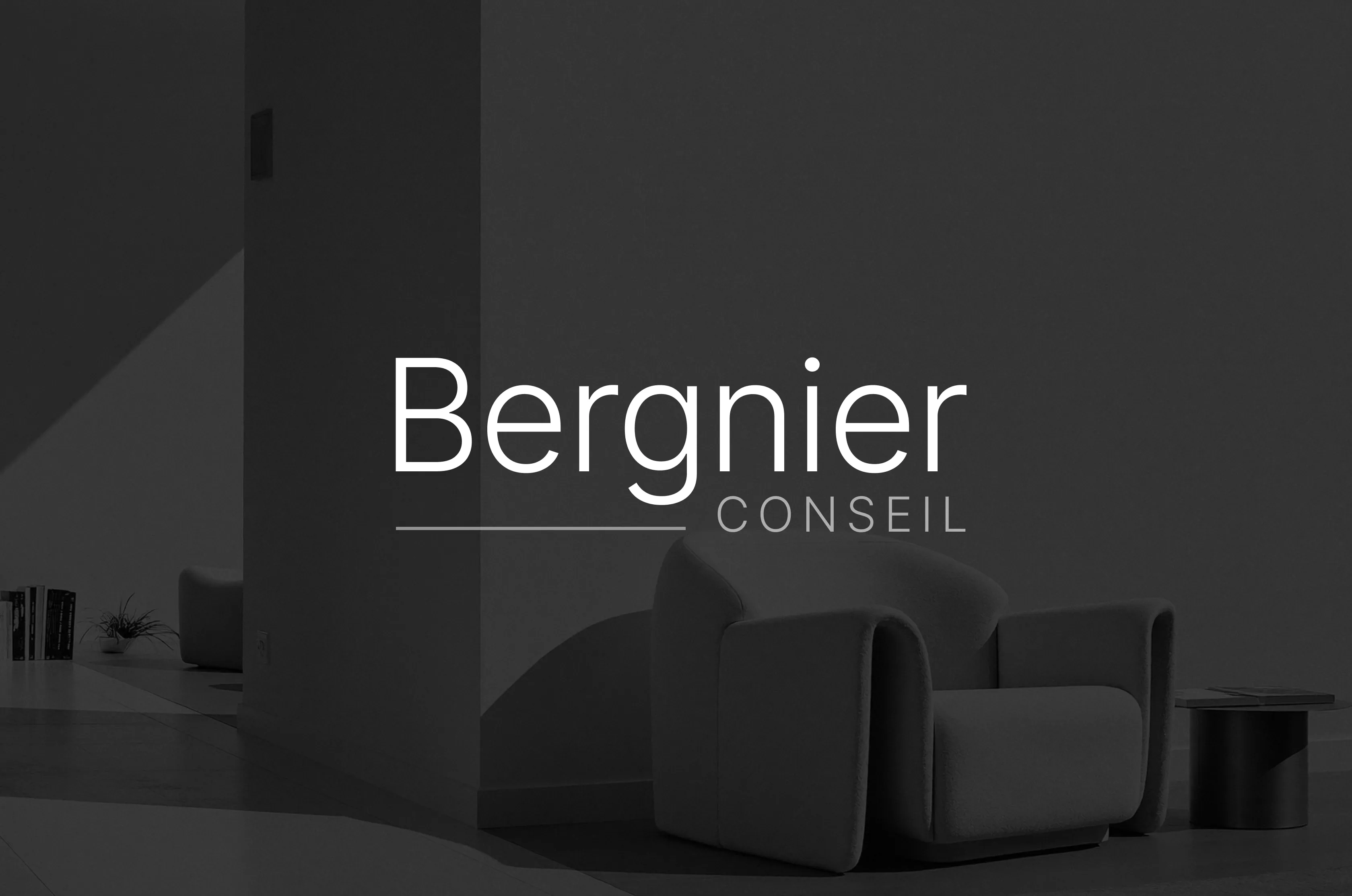 Logo Bergnier Conseil