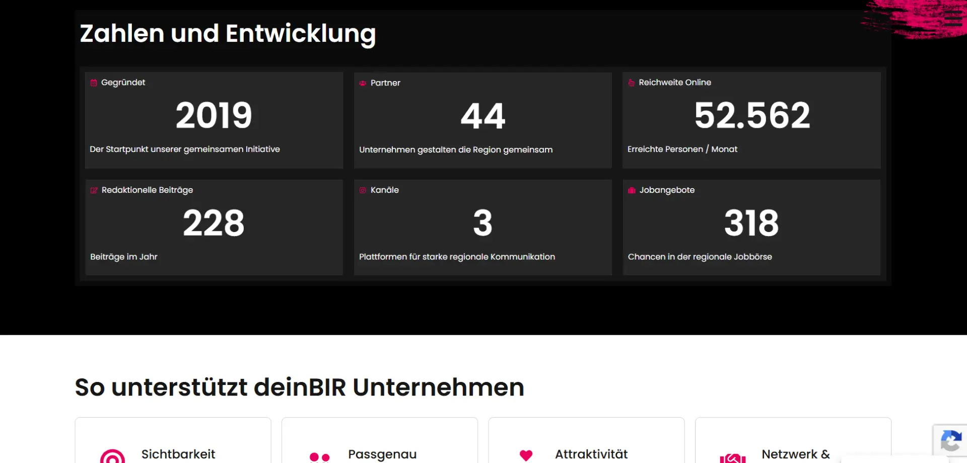 Screenshot der deinBIR Website