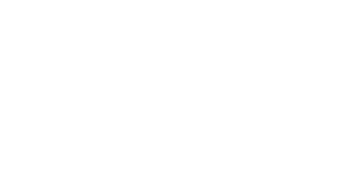Balimarks logo