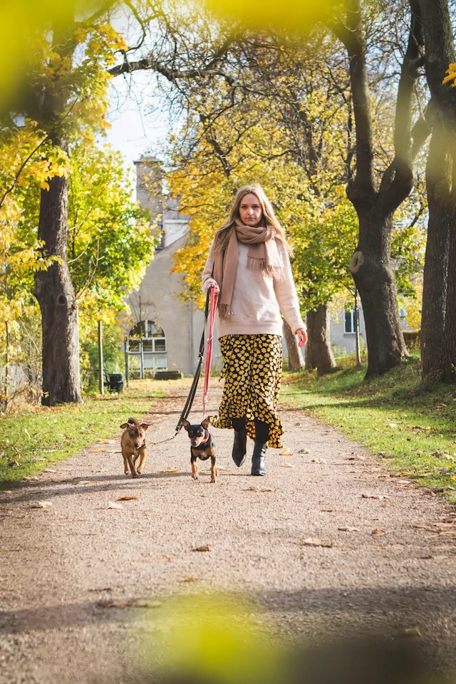 Foto van wandelende vrouw met twee kleine hondjes