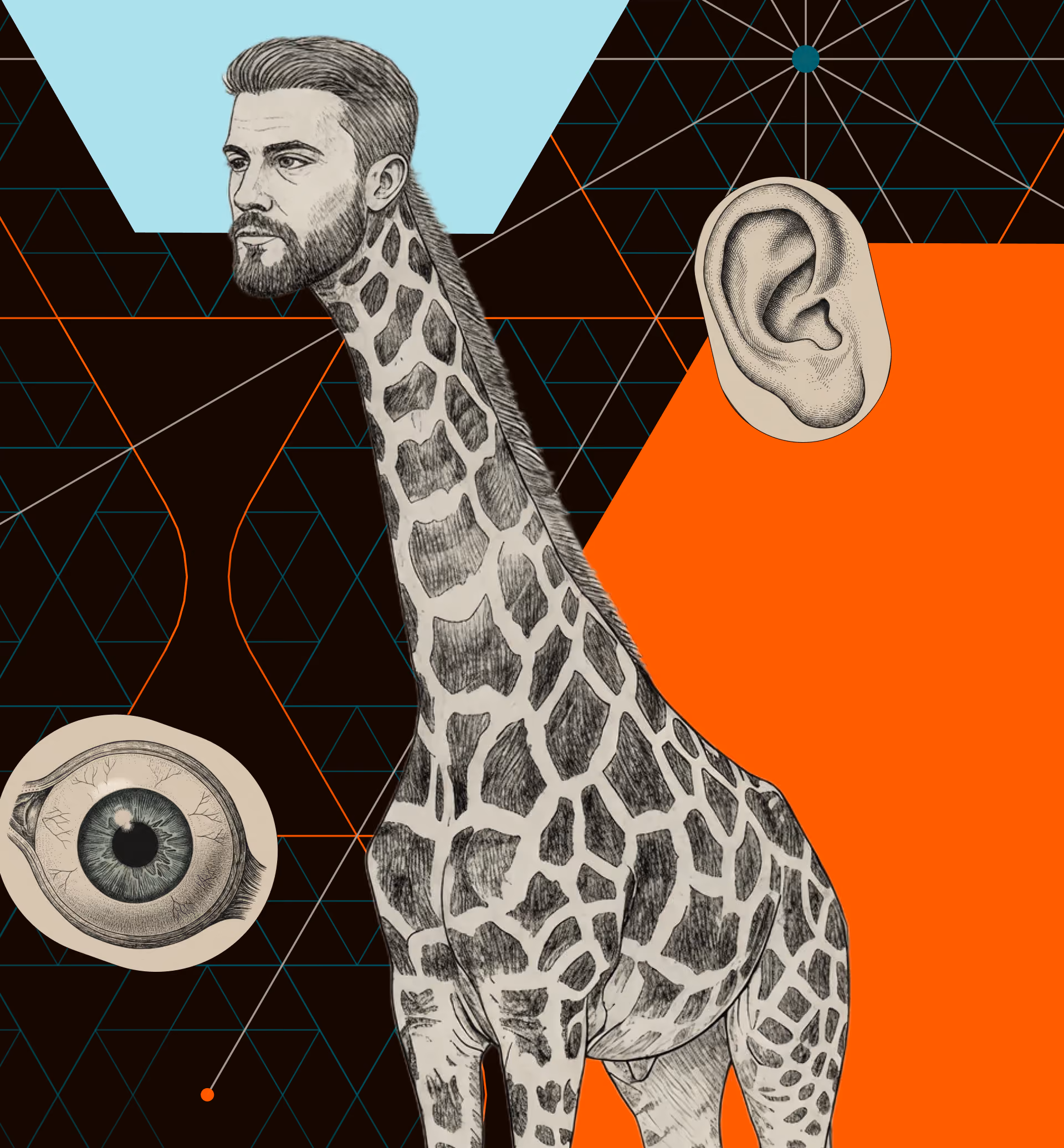 Hand drawn illustration of bearded mans head on a giraffe body eye and ear colorful geometric shapes on top of dark background