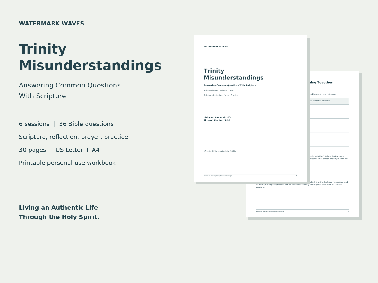 Trinity Misunderstandings printable workbook preview