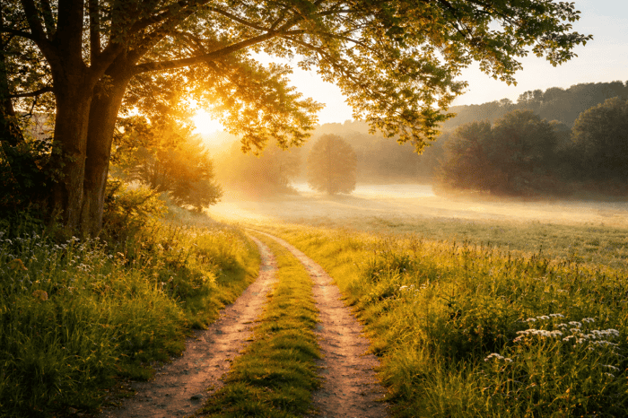 What Is Christian Faith and Trust? A Guide to Building a Life Anchored in God