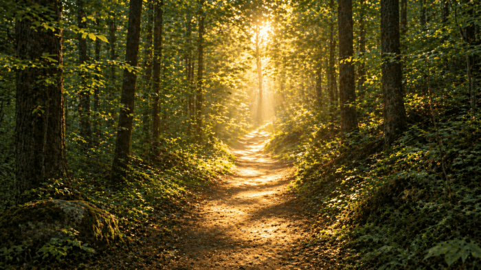 Bible Verses About Guidance: Finding Direction in God's Word