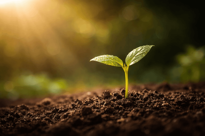 Bible Verses About Spiritual Growth (Powerful Scriptures to Help You Grow)