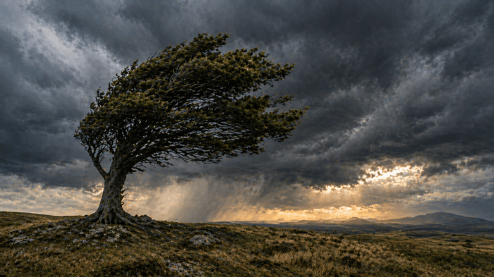 Bible Verses About Suffering, Trials, and Hard Times