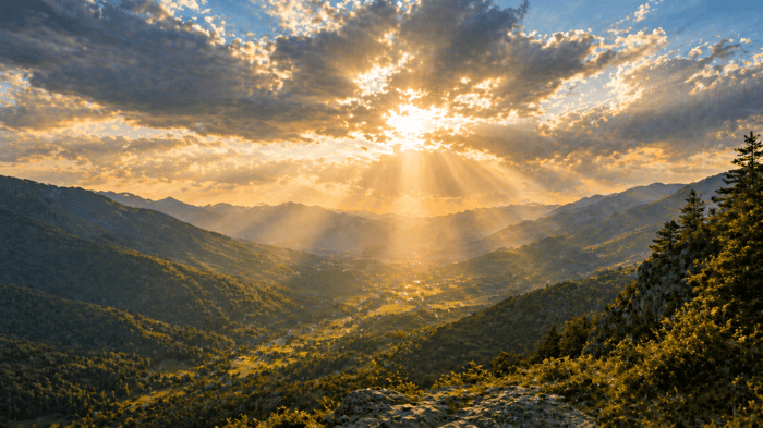 Does God Have a Plan for Me? What the Bible Says About Your Life