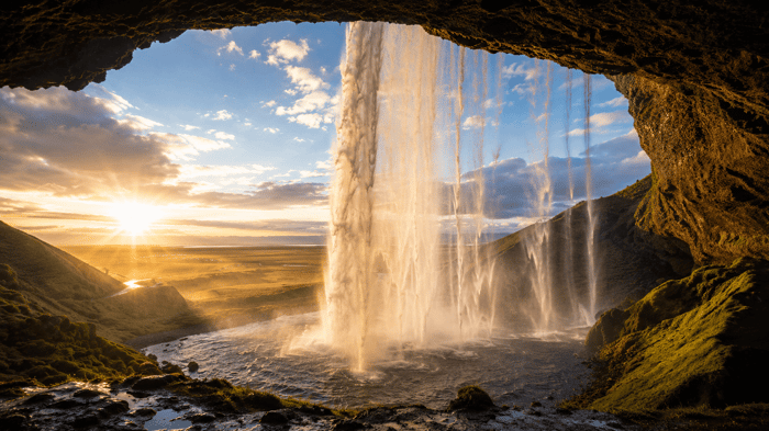 God's Wisdom in Creation: How Nature Reveals His Infinite Wisdom