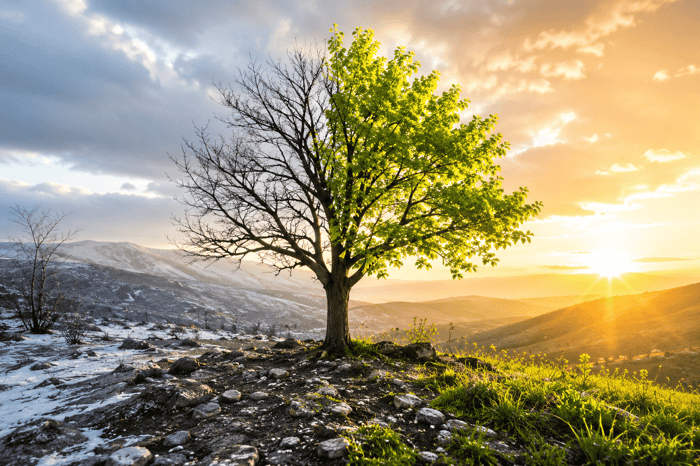 What Does the Holy Spirit Do? A Biblical Guide
