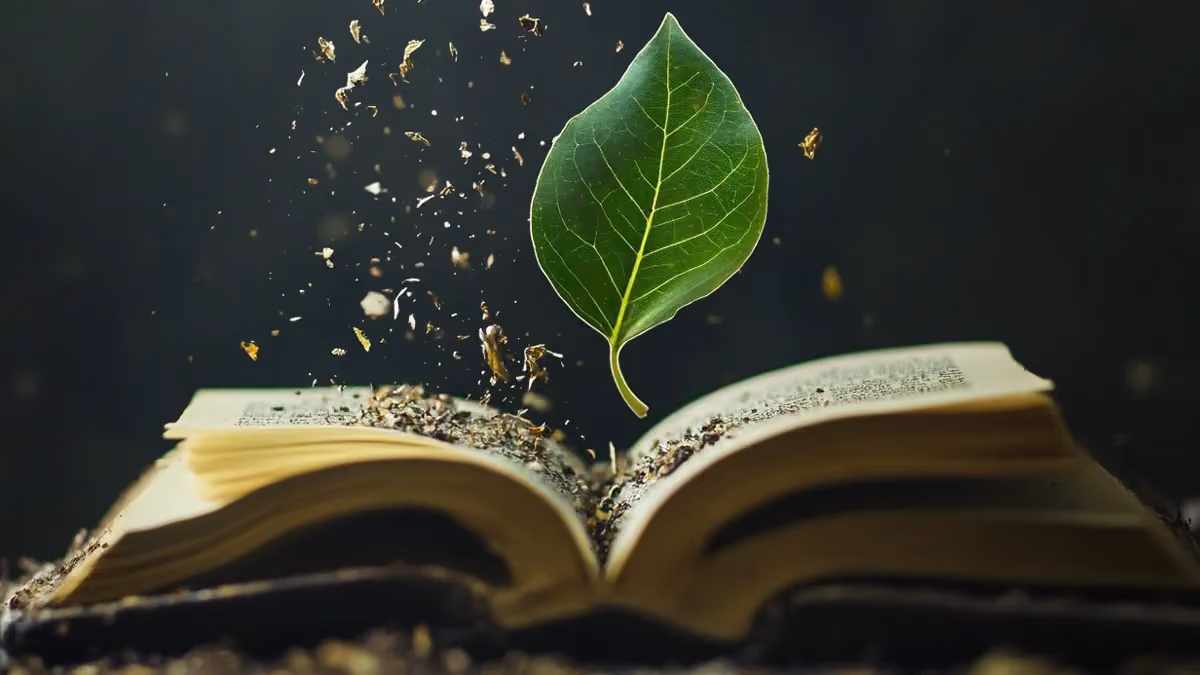 Why Regular Blog Updates Can Boost Your SEO
