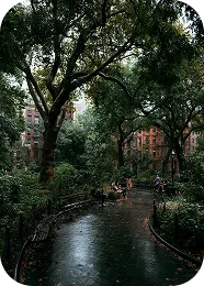 Tree-lined wet pathway in a city park with brick buildings visible through the foliage.