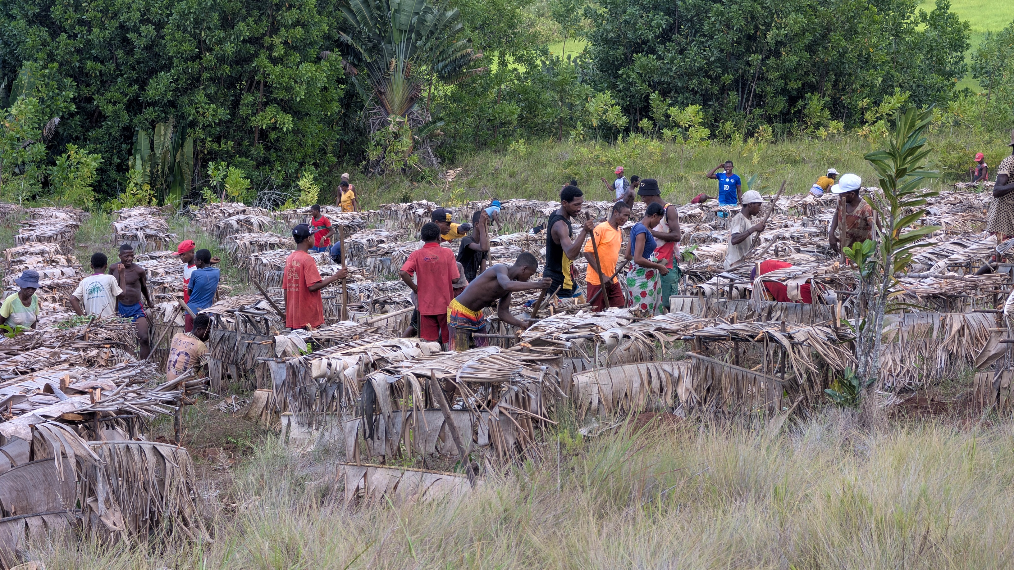 Aerial view of standing water pooling across a deforested valley in Madagascar