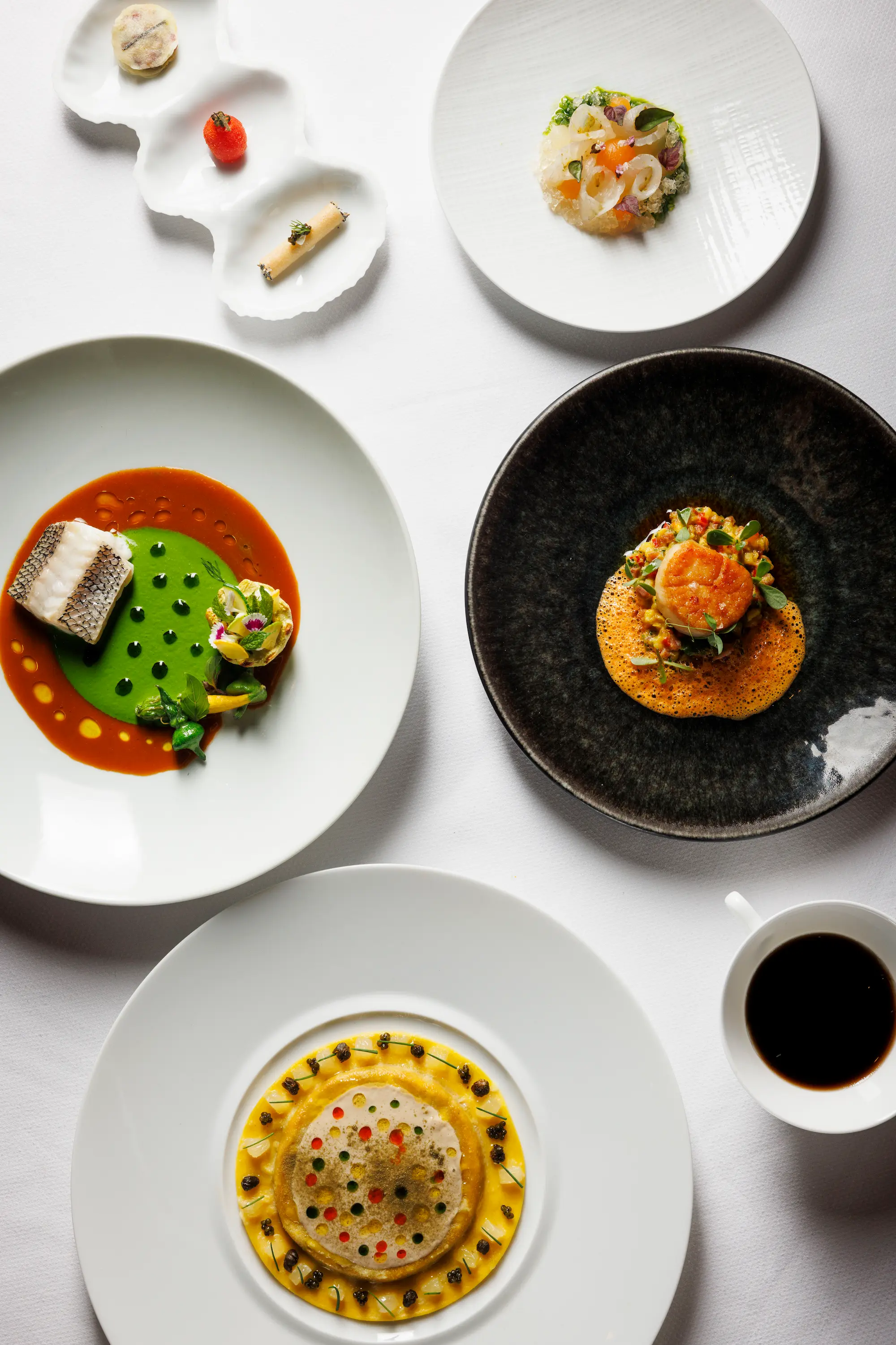 Selection of seasonal tasting menu courses at Amphora, a wine-focused fine dining restaurant in New York City’s Flatiron District.