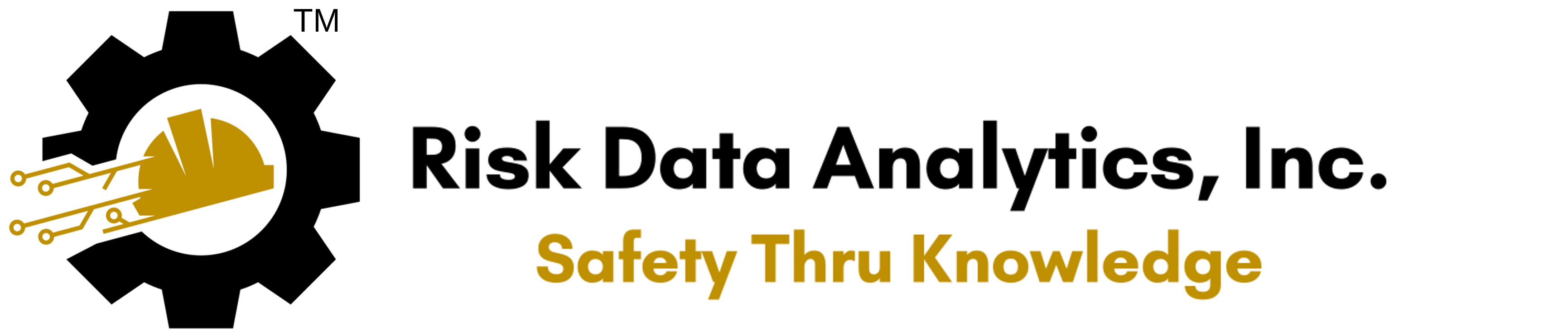 Risk Data Analytics