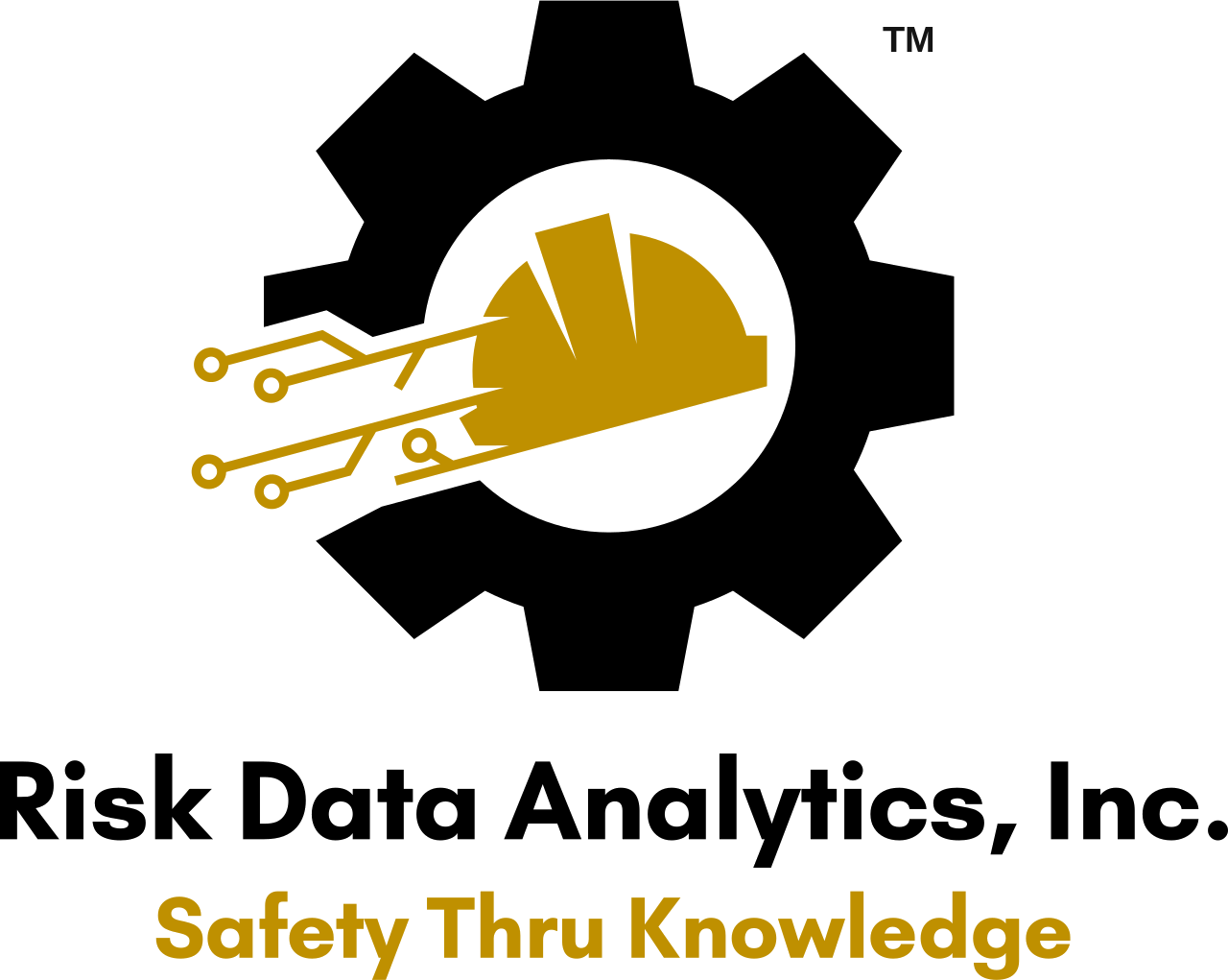 Risk Data Analytics, Inc. — Safety Thru Knowledge