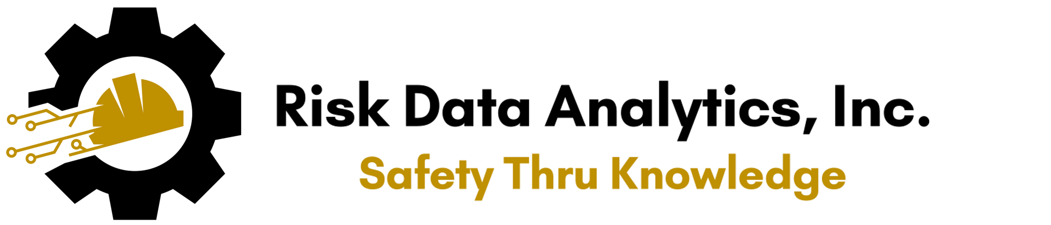 Risk Data Analytics