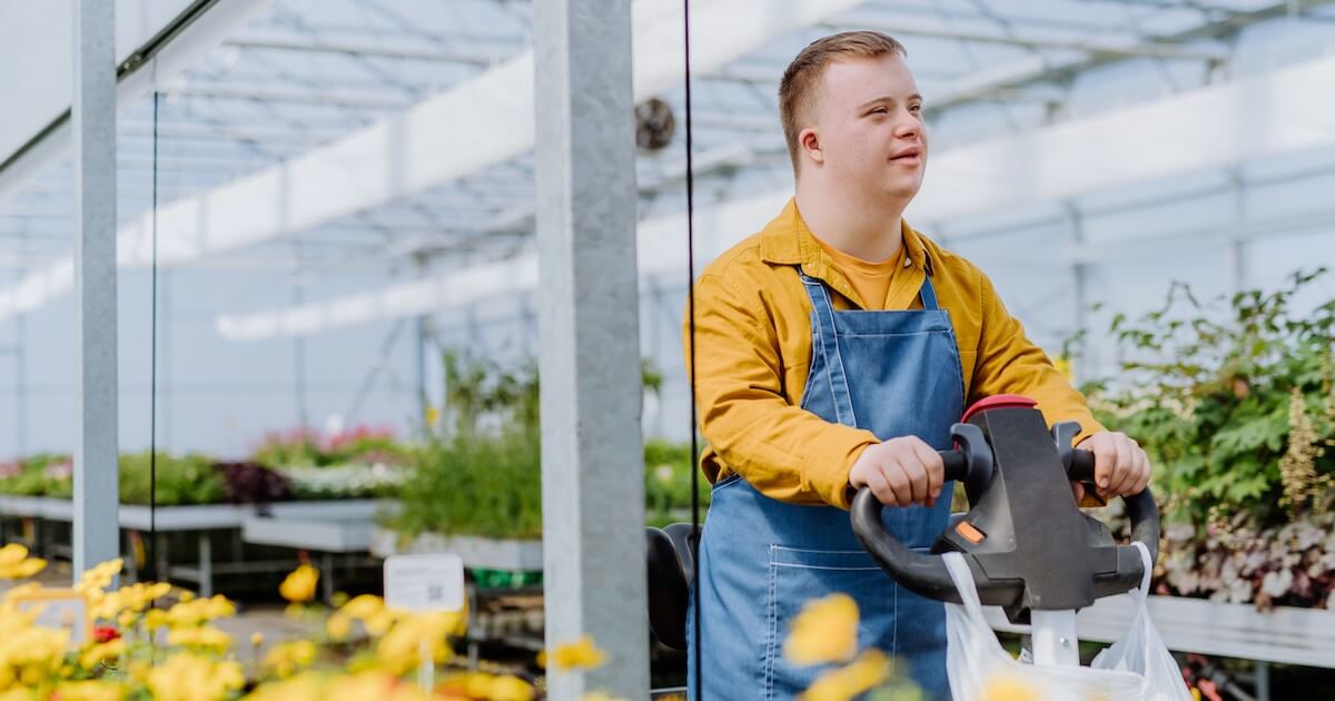 A young man in a mustard shirt and denim apron pushes a cart through a plant nursery greenhouse, with yellow flowers in the foreground.