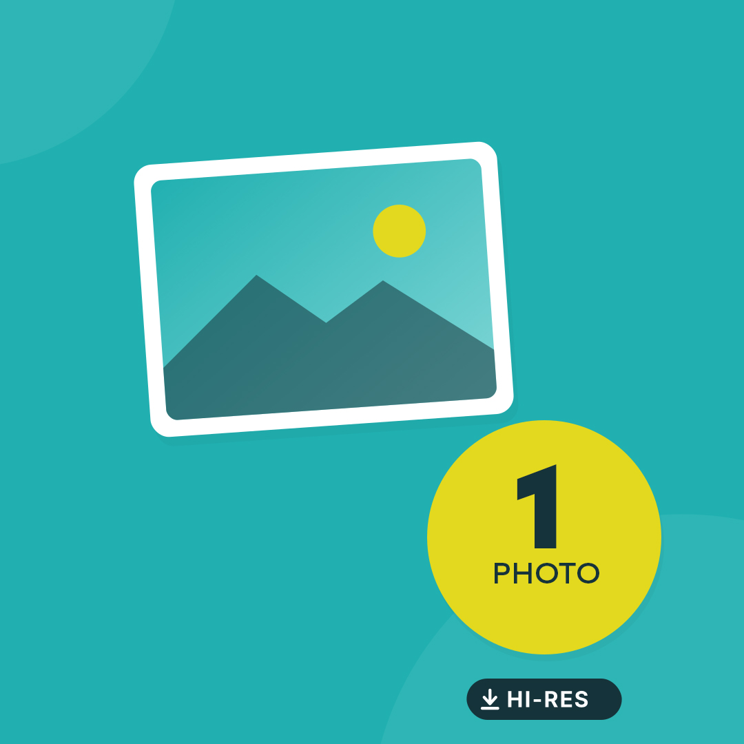 Single high resolution digital photo download