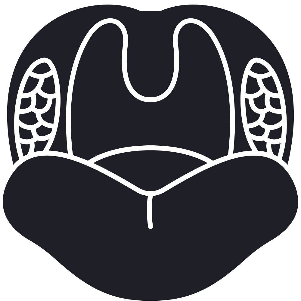 Children's health icon - sore throat, tonsillitis and childhood illness assessed by an online GP at Cheshire Clinics
