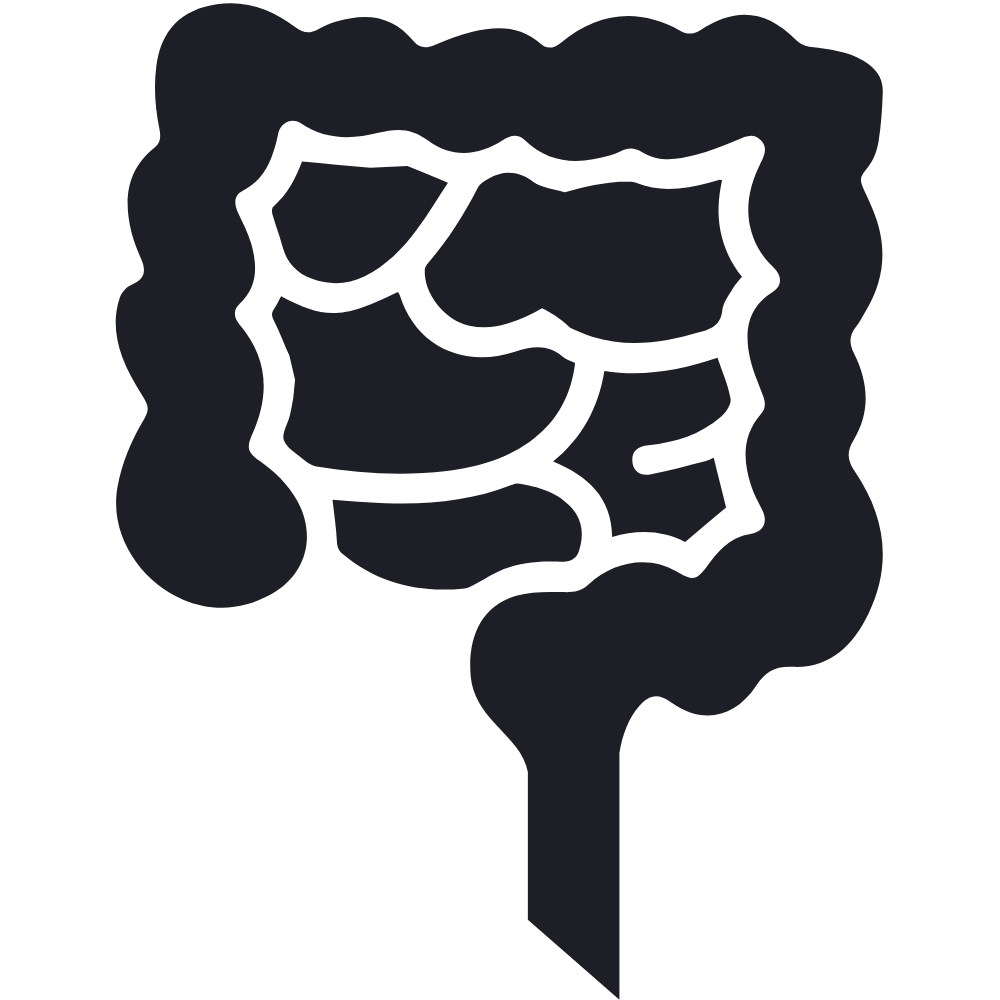 Digestive and gut icon - IBS, reflux and inflammatory bowel symptoms assessed by an online GP at Cheshire Clinics