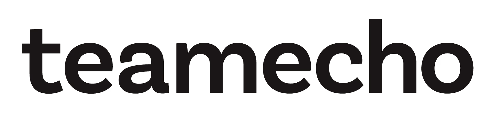 TeamEcho