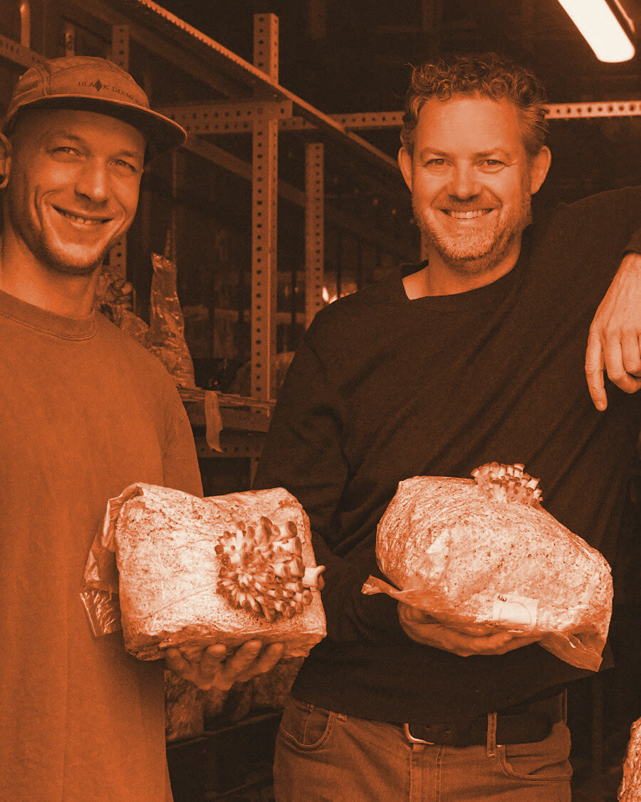 Mark Slegers en een collega met mycelium-blokken van SPORO
